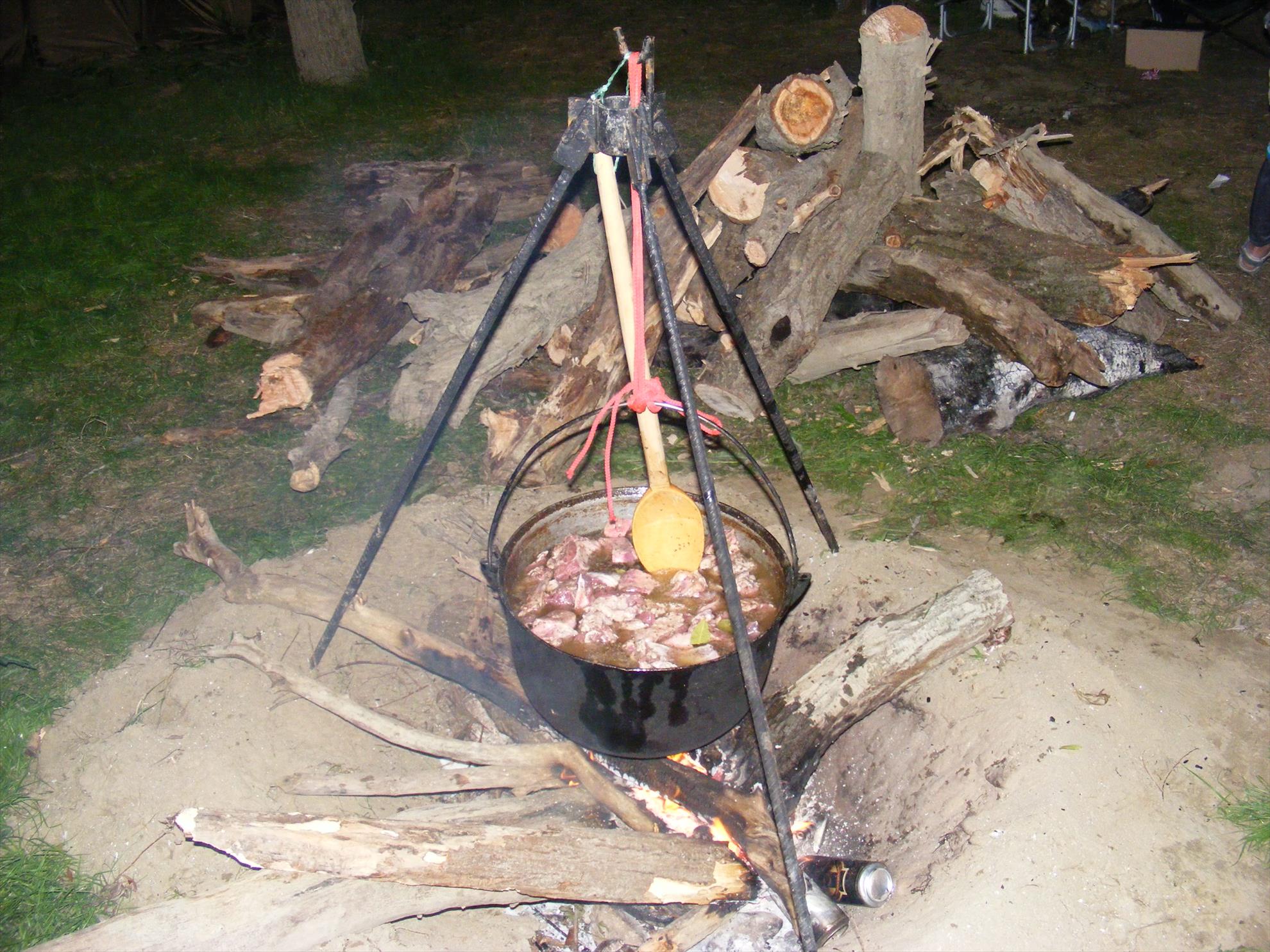 dunarea - dscf0096.JPG